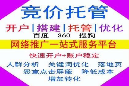 SEM实战案例：案例分析广告效果评估